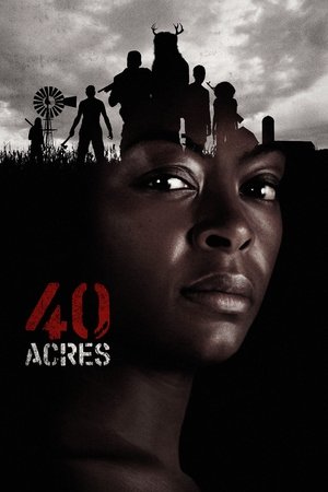 40 Acres (2025) Hindi (MULTI AUDIO) – – HD Poster Download - filmyfly