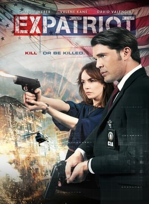 ExPatriot 2017 Hindi Dual Audio [870MB]