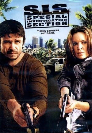 SIS Special Investigation Section 2008 Hindi Dual Audio 270MB
