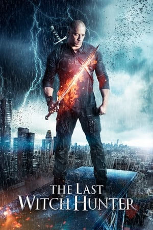 The Last Witch Hunter (2015) Hindi Dual Audio [940MB] HD Poster Download - filmyfly